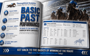 Basic Past Performances