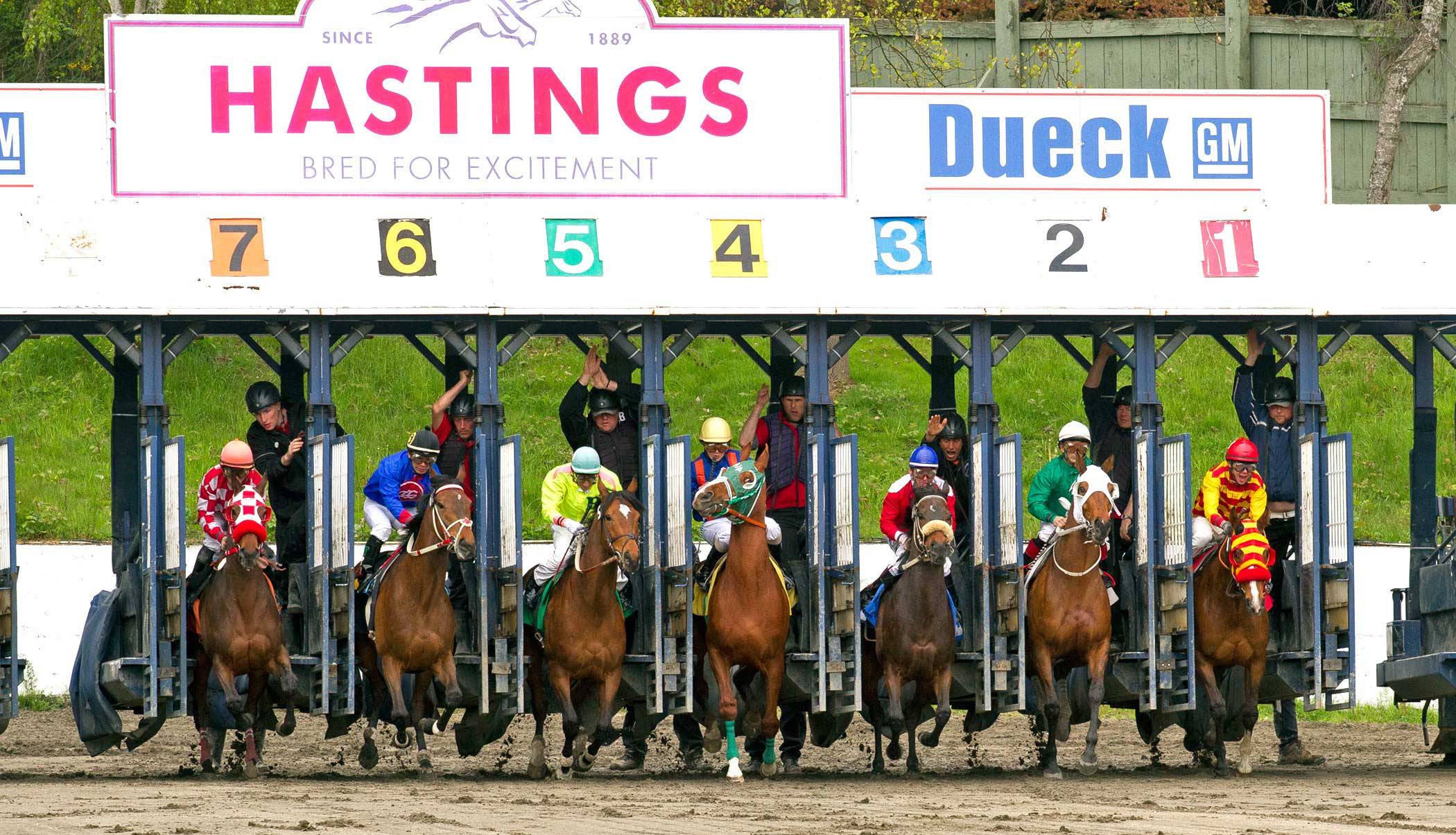 Hastings Park picks and tips Hastings Park horse racing winning picks and tips
