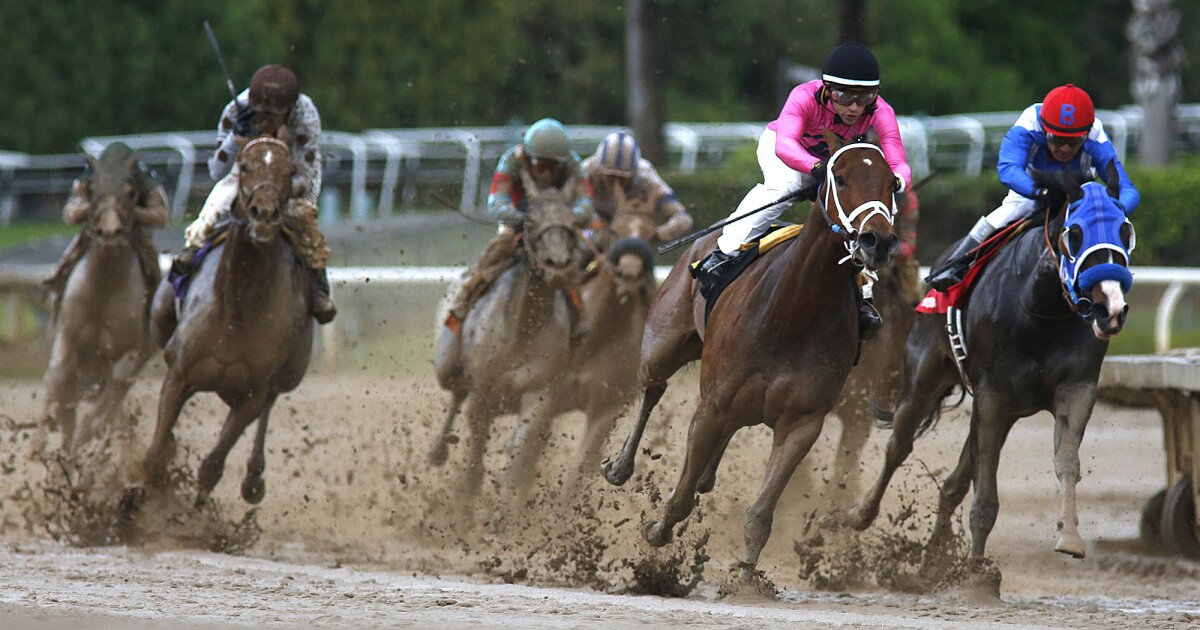 Santa Anita horse racing handicapping wet track with bias