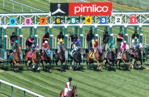 Saturday's race analysis, top picks for Pimlico Race Course