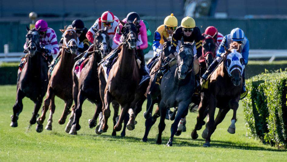 How To Handicap Using Consensus - Todays Racing Digest