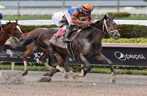 Saturday's race analysis, top picks for Pimlico Race Course – Hartford  Courant