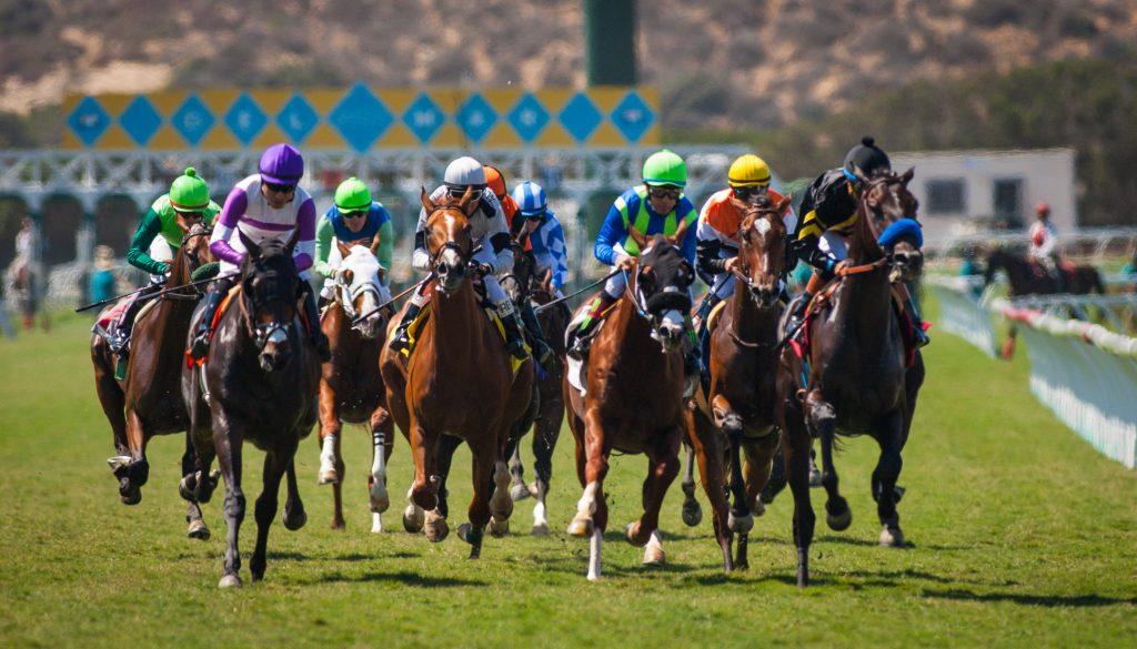 del mar top 10 handicapping