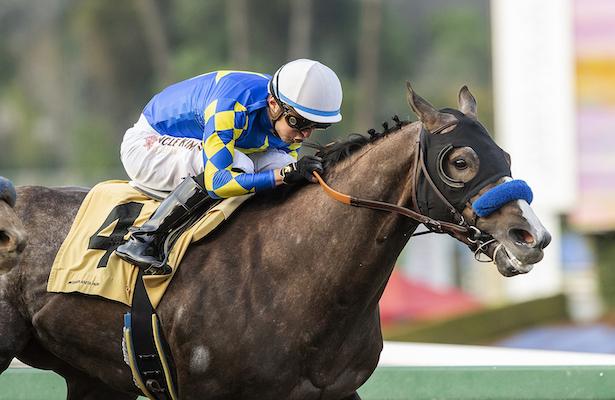 Reincarnate captures the 2023 Sham Stakes at Santa Anita Park on 1-8-23.