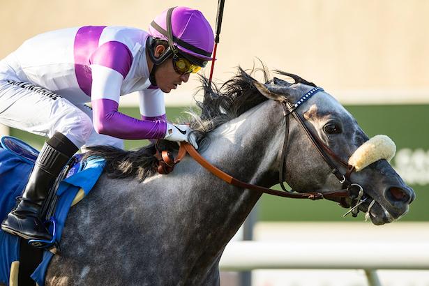 Eddie's New Dream takes the Solana Beach Stakes at Del Mar on 8-25-23