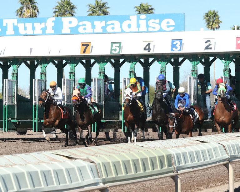 Turf Paradise Days Might Be Numbered - Todays Racing Digest