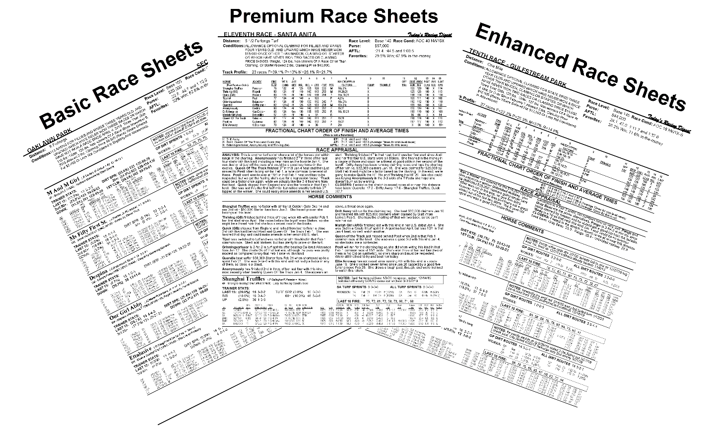 Race-Sheet-Image-1