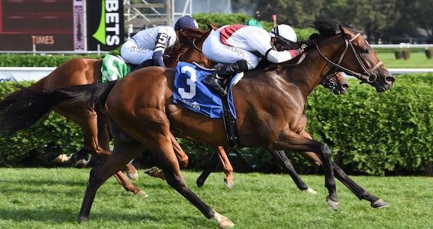 Thin White Duke lands the Harvey Pack Stakes at Saratoga on 9-2-23