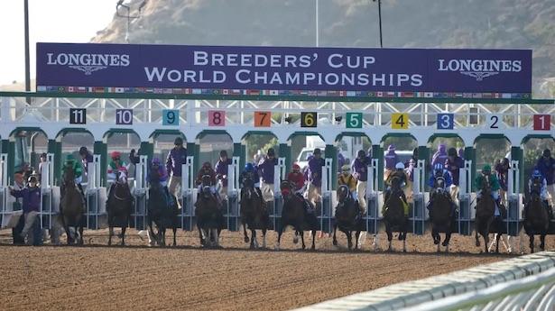 Breeders Cup Distaff 2023 Angles Todays Racing Digest