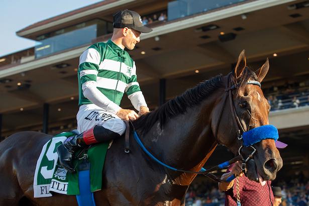 Breeders' Cup Classic winner Flightline