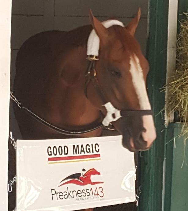 Good Magic at Pimlico Race Course in 2018