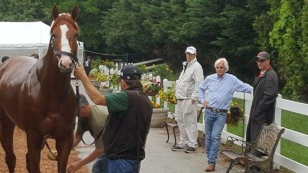 Triple Crown winner Justify is a leading sire at Ashford Stud.