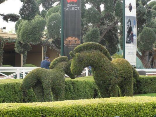 Santa-Anita-Park_Topiary_603x452