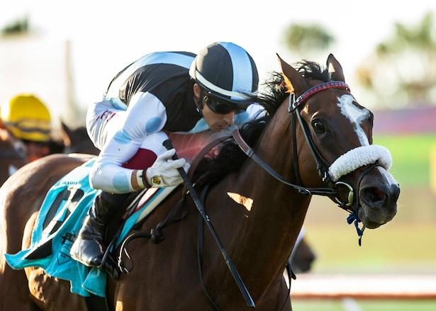 Sister Otoole wins 2022 CTT & TOC at Del Mar