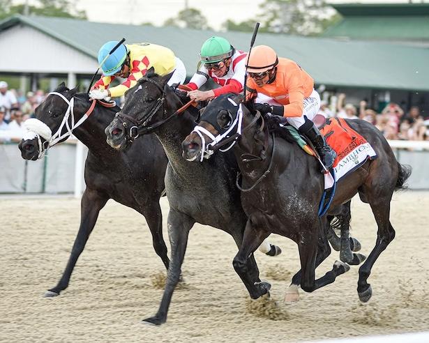 Domestic Product wins 2024 Tampa Bay Derby