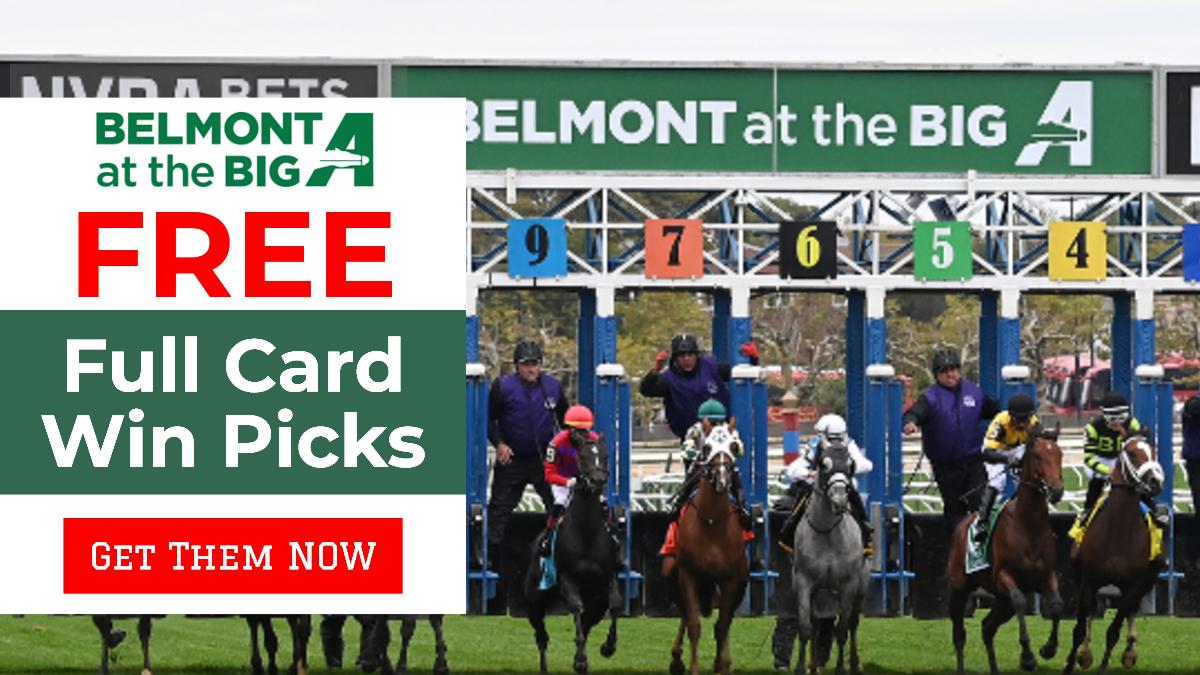 Belmont at the big a picks todays racing digest