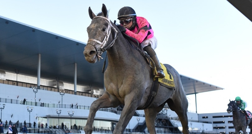 Hit Show wins 2023 Withers Stakes