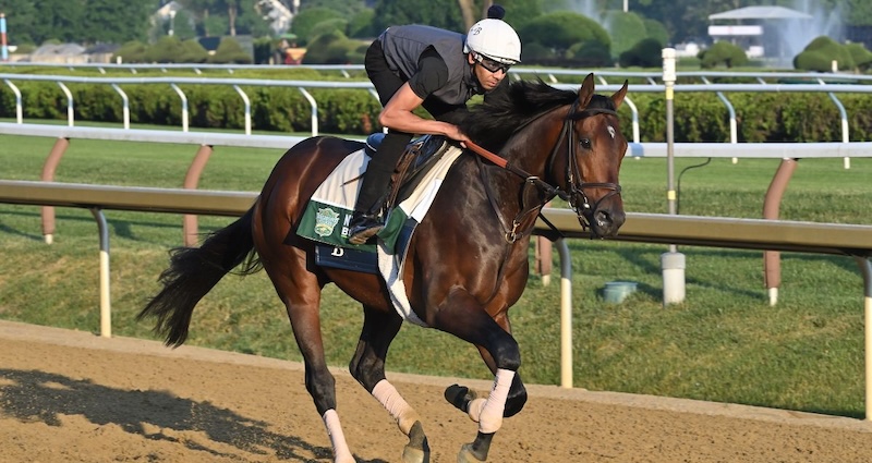 Sierra Leone breezes at Belmont Park