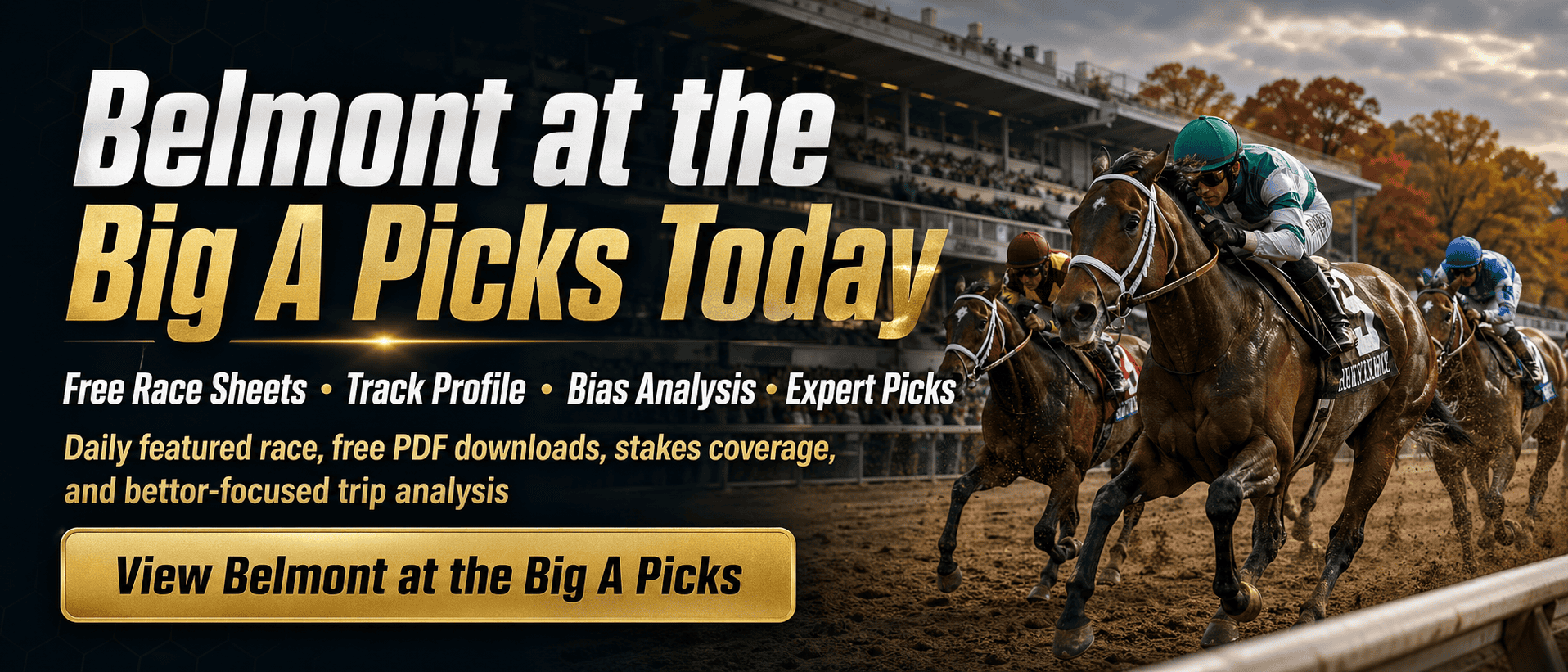 Belmont at the Big A picks