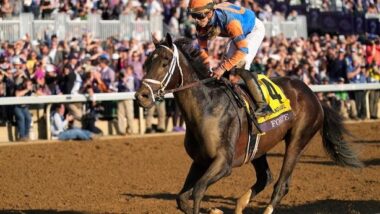 2023 Curlin Stakes Preview & FREE Picks  Blazing Sevens Looms Large At  Saratoga - Racing Dudes